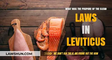 Understanding Leviticus: The Purpose of Clean Laws in Ancient Israel