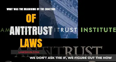 Understanding the Rationale Behind Enacting Antitrust Laws in America
