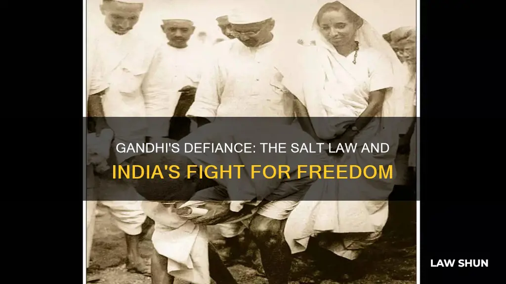 what was the salt law why did gandhiji break it