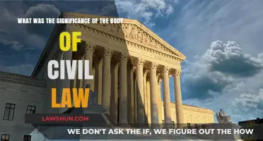 The Body of Civil Law: Shaping Societies and Legal Foundations