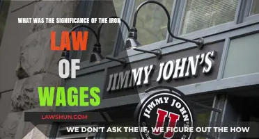 The Iron Law of Wages: Impact on Labor and Economics
