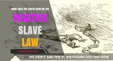 Southern Perspective: Fugitive Slave Law and Its Impact on Society