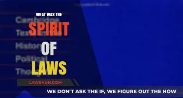 Exploring the Essence: What Was the Spirit of Laws?