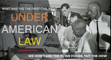 The First Civil Right: Birthright Citizenship