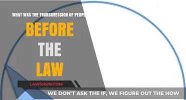The Universal Sin: Humanity's Transgression Before the Law Explored