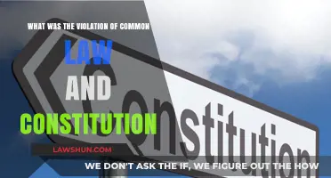 The Law and Constitution: Violation and Its Impact