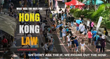 Understanding the Vote Behind Hong Kong's National Security Law