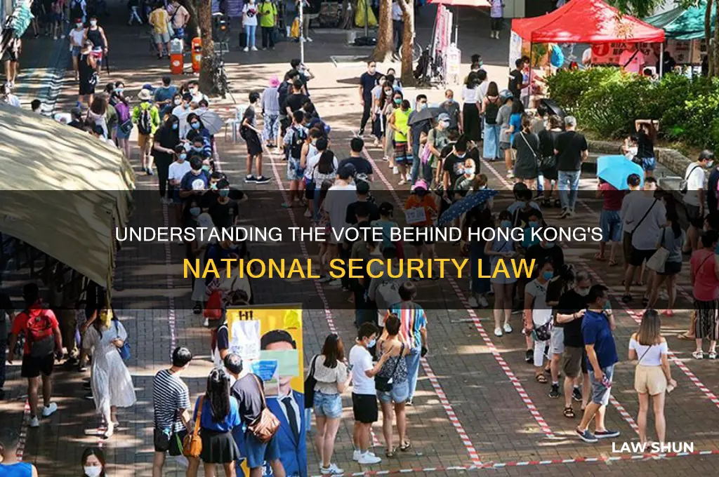 what was the vote for hong kong law