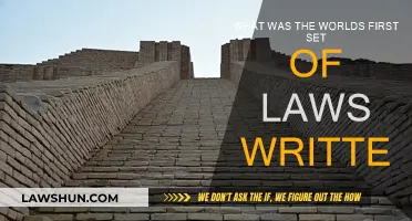 The Earliest Laws: A Written Code
