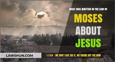 Jesus in the Law of Moses: Unveiling Ancient Prophecies and Connections
