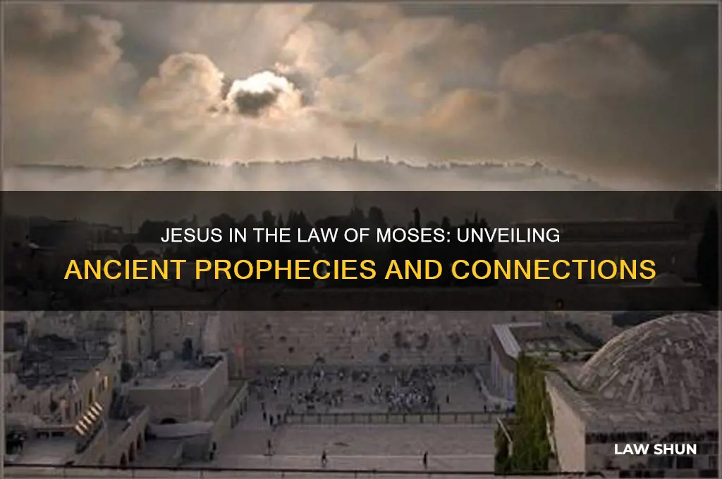 what was written in the law of moses about jesus