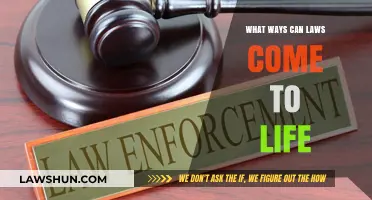 Bringing Laws to Life: Effective Strategies