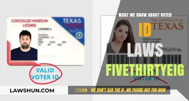 Understanding Voter ID Laws: Key Insights from FiveThirtyEight Analysis