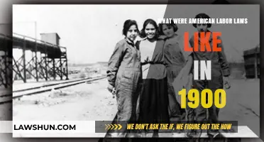 Exploring the Harsh Realities of American Labor Laws in 1900