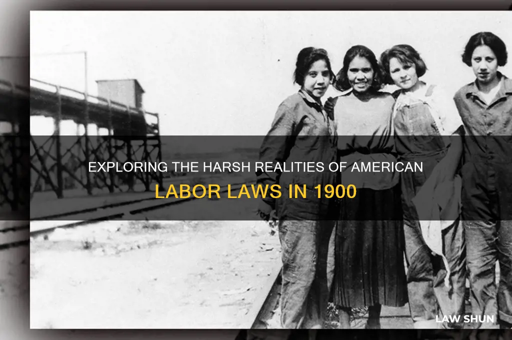 what were american labor laws like in 1900