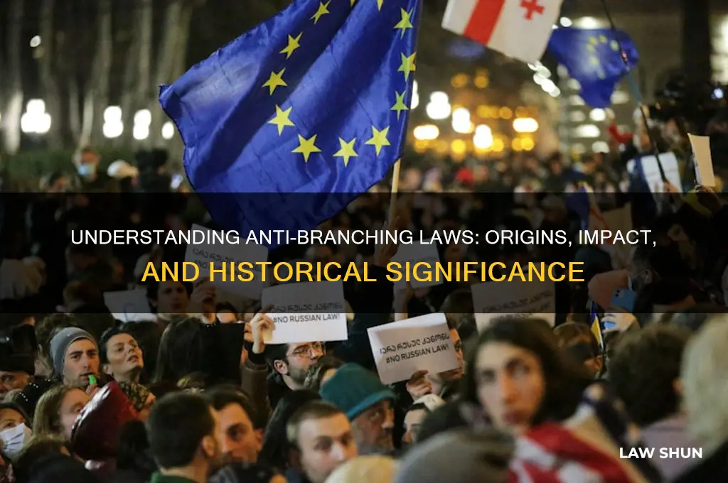 what were anti-branching laws