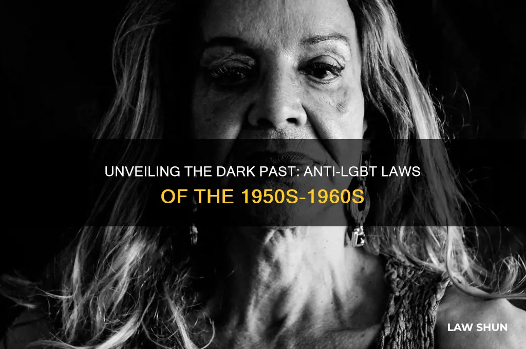 what were anti lgbt laws in the 1950s 1960s