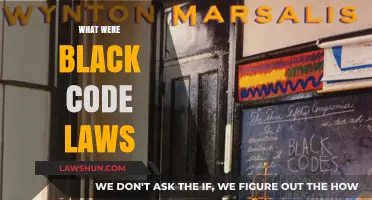 Understanding Black Code Laws: Post-Civil War Oppression Explained