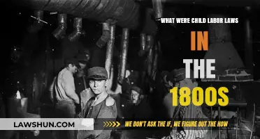 Child Labor Laws in the 1800s: A Historical Overview