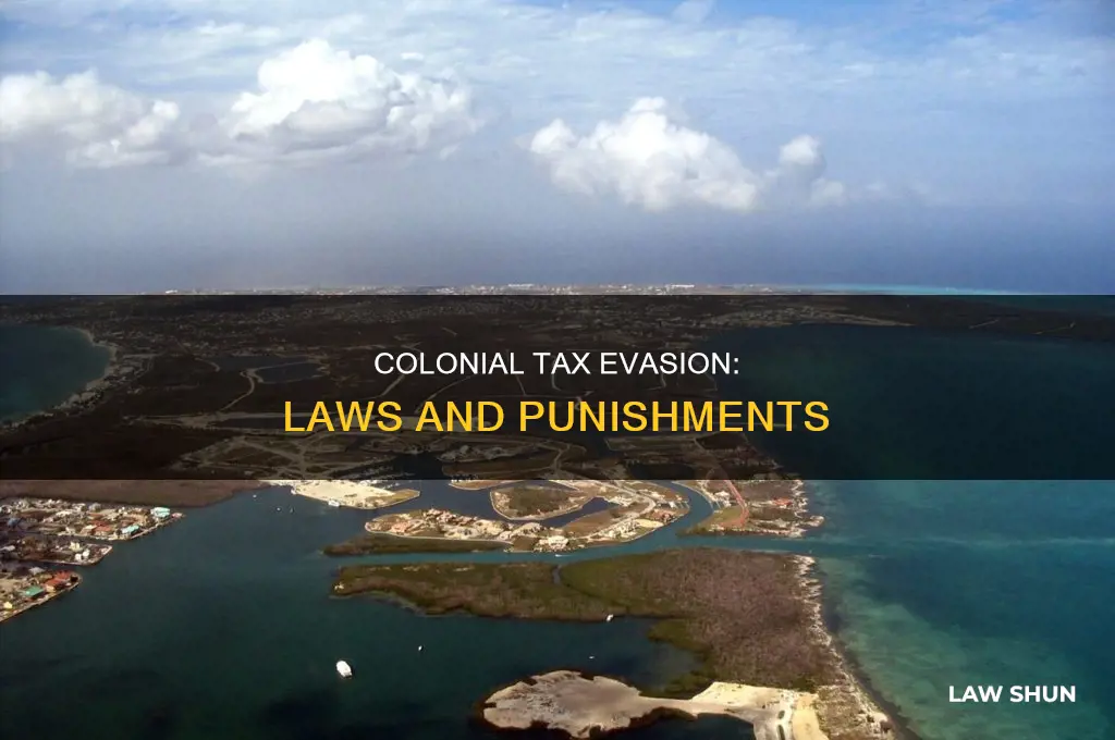what were colonial laws for not paying taxes
