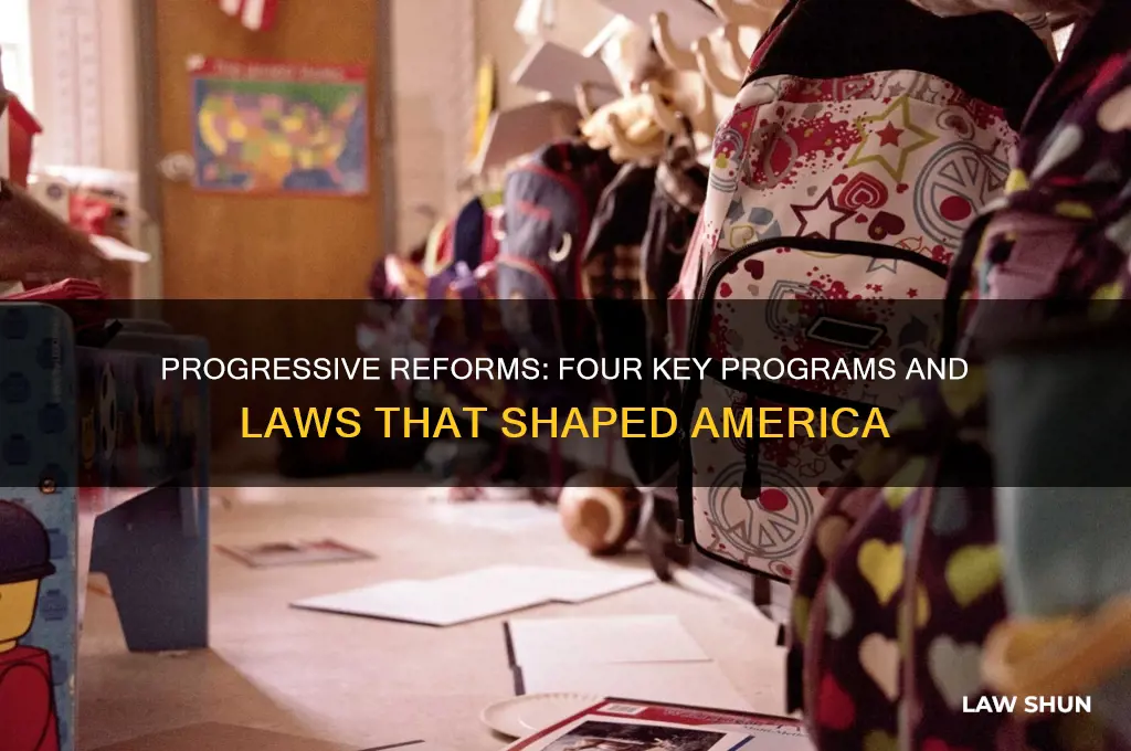 what were four specific programs or laws that the progressives