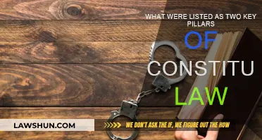 Key Pillars of Constitutional Law: Rights and Freedoms