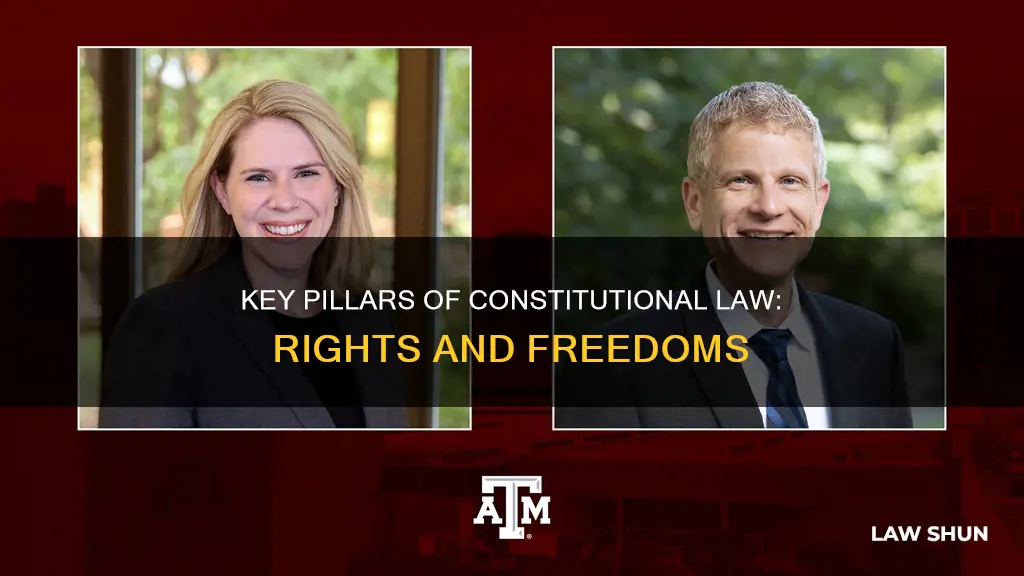 what were listed as two key pillars of constitutional law