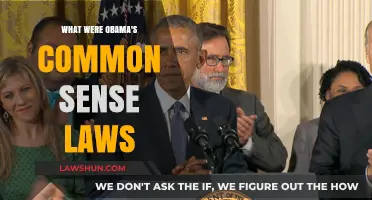Obama's Sensible Policies: A Legacy of Common Sense
