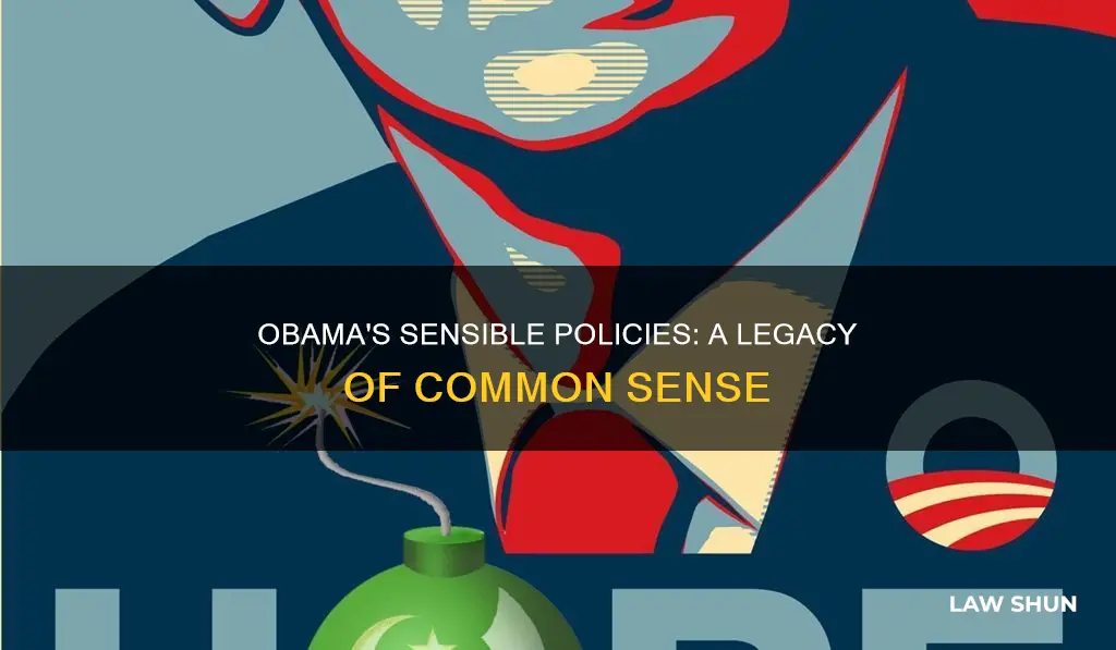 what were obama