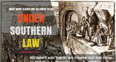 Forbidden Freedoms: Southern Laws Restricting Slaves' Rights and Actions