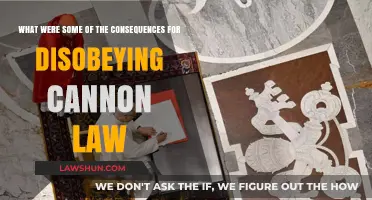 Disobeying Canon Law: Severe Consequences for Religious Transgressions
