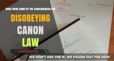 Consequences of Defying Canon Law: Penalties, Excommunication, and Historical Impact
