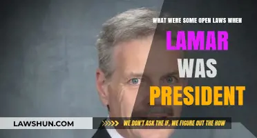 Open Laws During President Lamar's Tenure: Key Legislative Insights