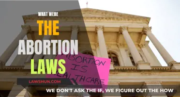 Abortion Laws: Past, Present, and Future