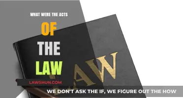 Understanding the Acts of the Law: A Comprehensive Legal Overview
