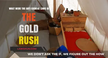 Anti-Chinese Laws During the Gold Rush: Discrimination and Exclusion