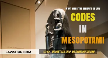 Mesopotamian Law Codes: Foundations of Justice and Social Order