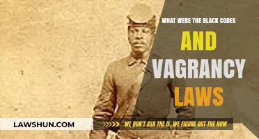 Black Codes and Vagrancy Laws: Post-Civil War Oppression Explained