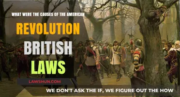 British Laws and the Spark of the American Revolution