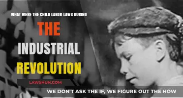 Child Labor Laws During the Industrial Revolution: A Historical Overview