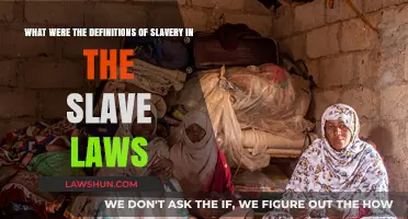 Understanding Slavery: Legal Definitions in Historical Slave Laws Explored