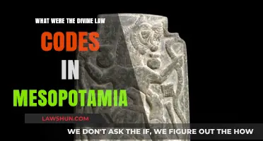 Mesopotamia's Divine Law Codes: Origins, Influence, and Legacy Explored