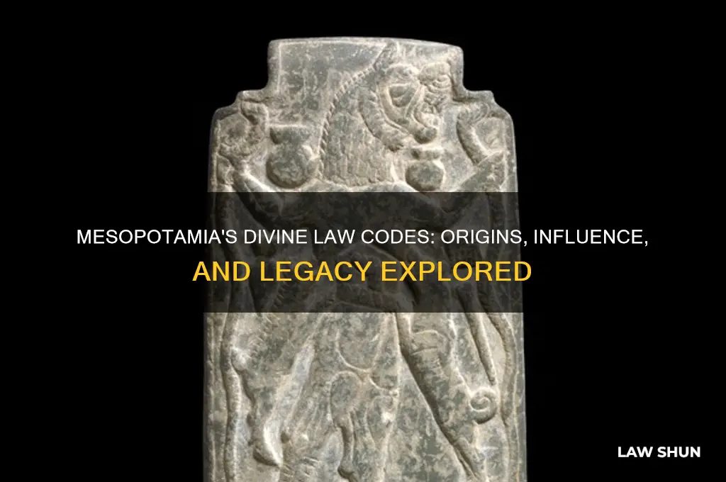 what were the divine law codes in mesopotamia