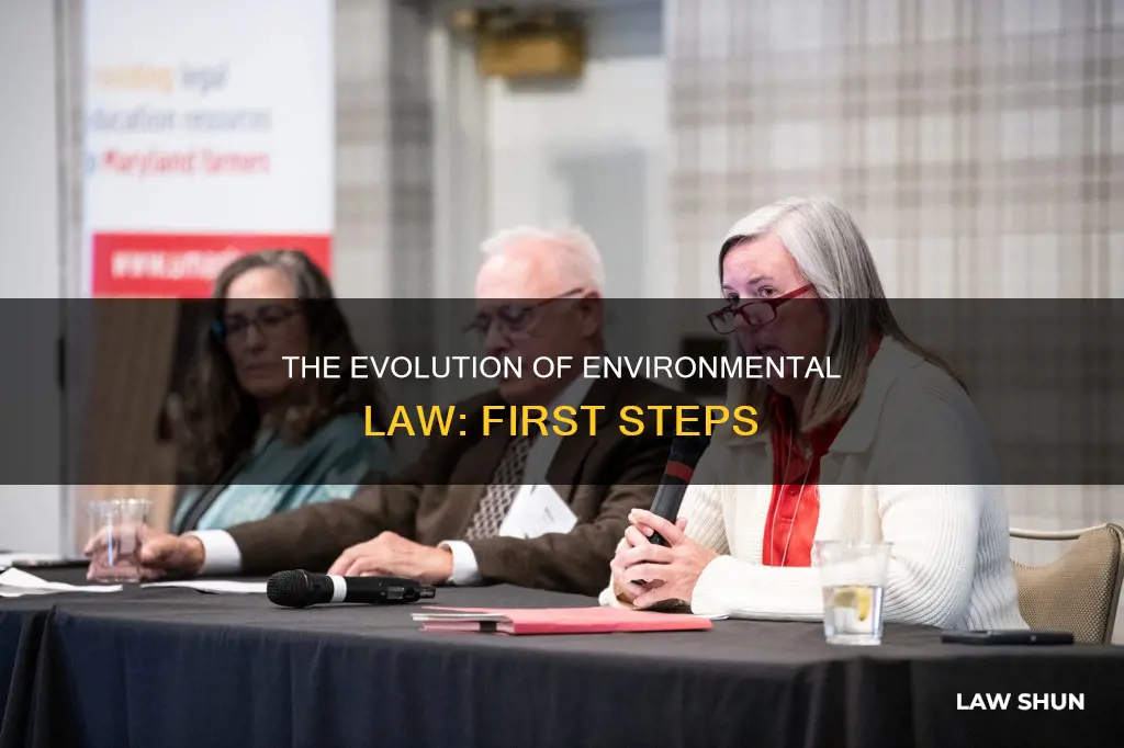 what were the first enviornmental laws