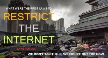 The First Internet Laws: Restrictions and Regulations