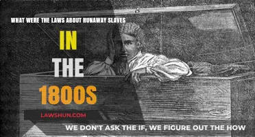 Runaway Slaves in the 1800s: Laws, Punishments, and Resistance