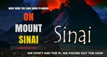 The Divine Laws: Moses' Mount Sinai Commandments Explained