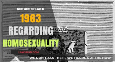 1963 Homosexuality Laws: A Historical Overview of Legal Restrictions