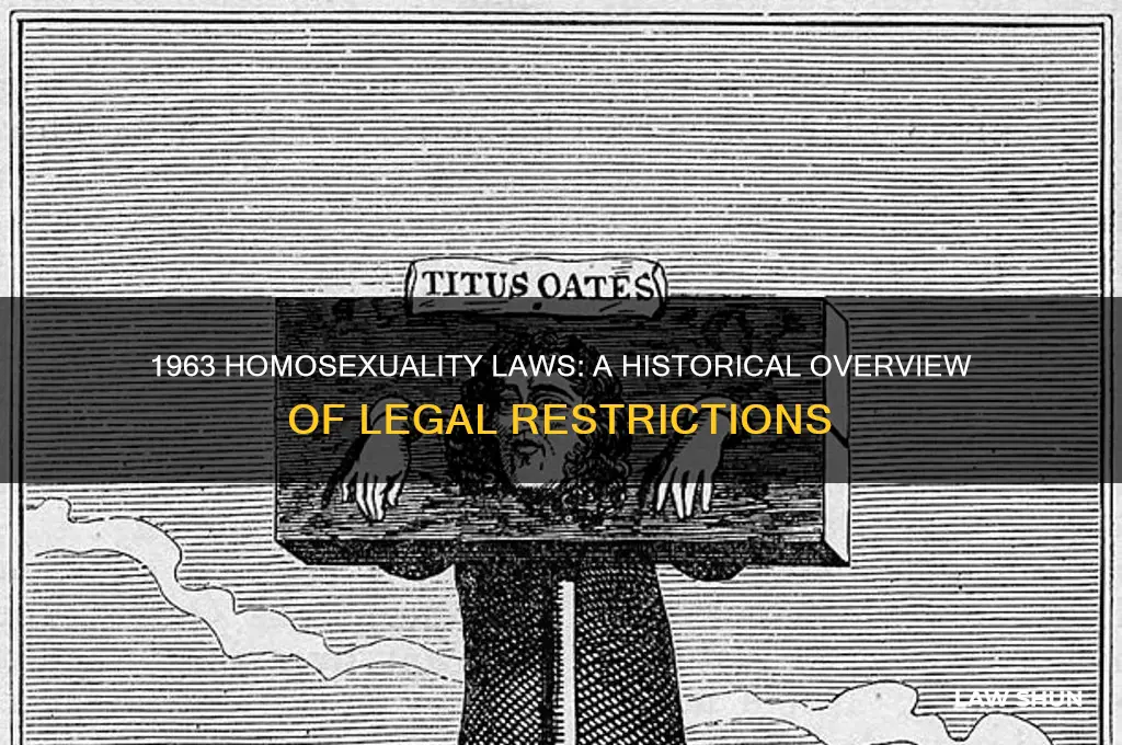 what were the laws in 1963 regarding homosexuality