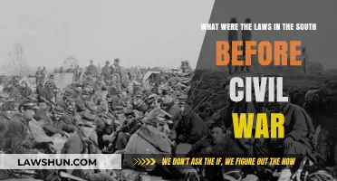 Pre-Civil War Southern Laws: Slavery, States' Rights, and Social Control